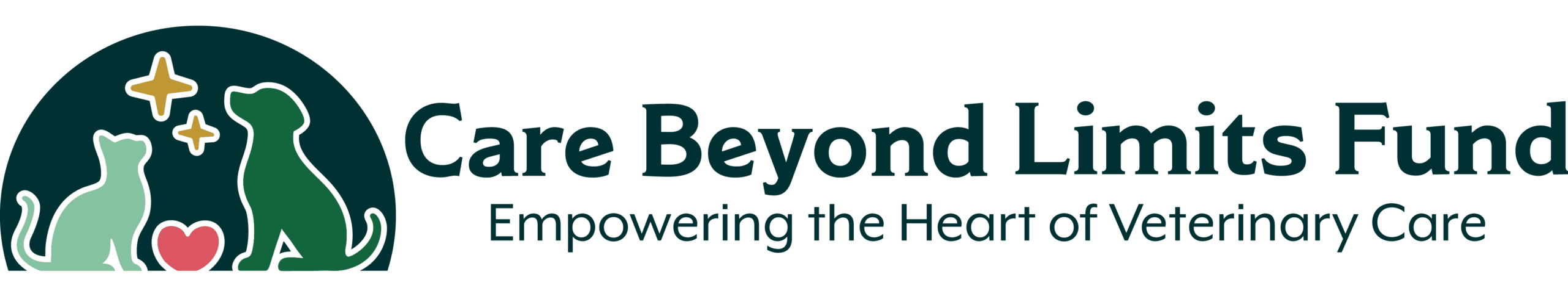 Care Beyond Limits